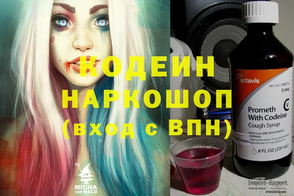 крисы Тында