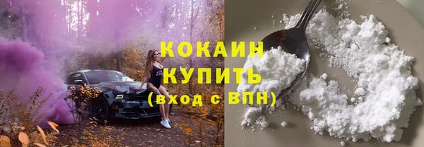 гидра Туринск