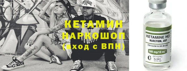 крисы Тында