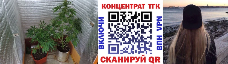 Купить закладки  Назарово  Дистиллят ТГК THC oil 